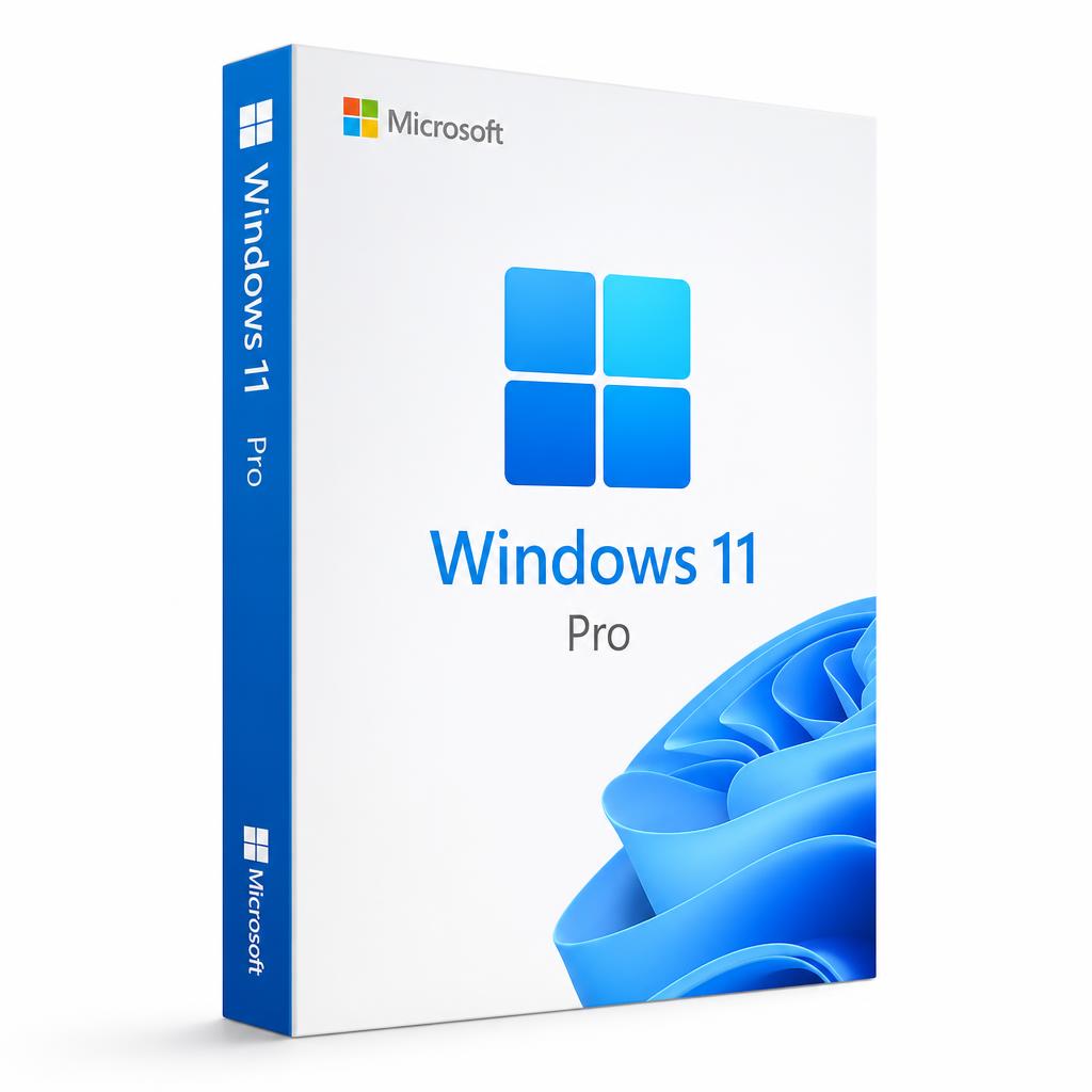 Windows 11 Professionnel